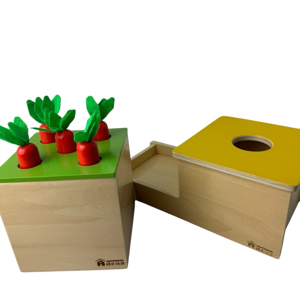 Adena Montessori Carrot Harvest and Permanence Box